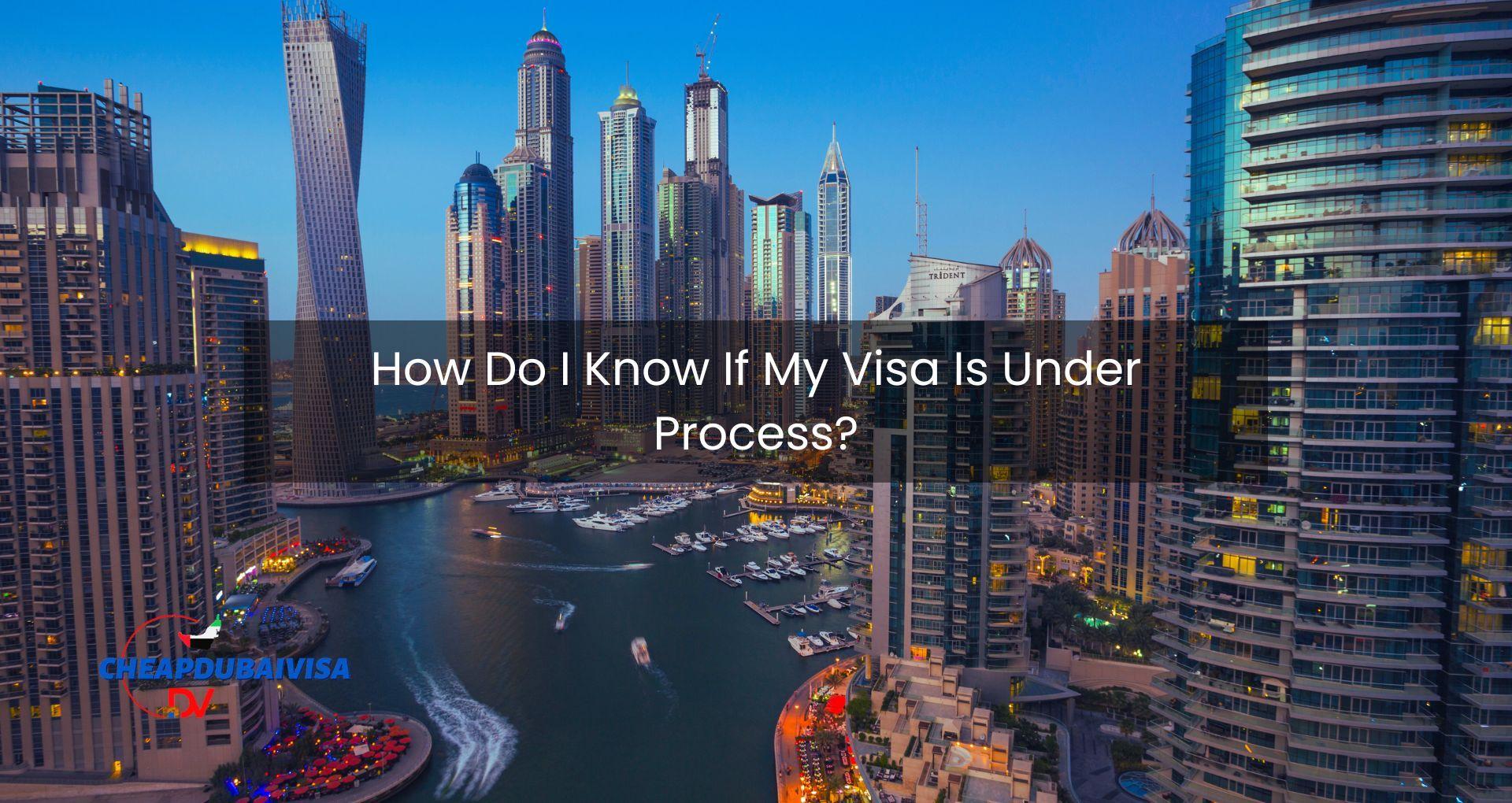How Do I Know If My Visa Is Under Process?