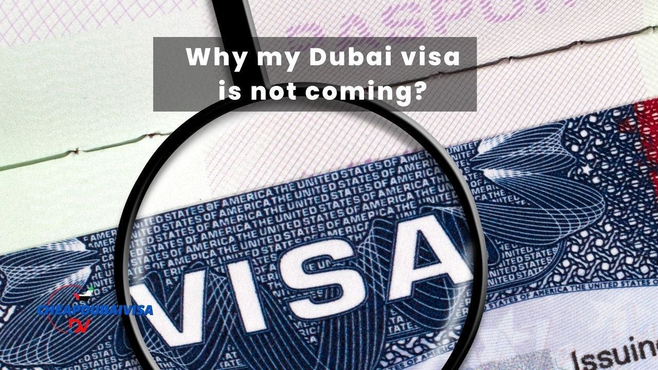Why My Dubai Visa is Not Coming? 