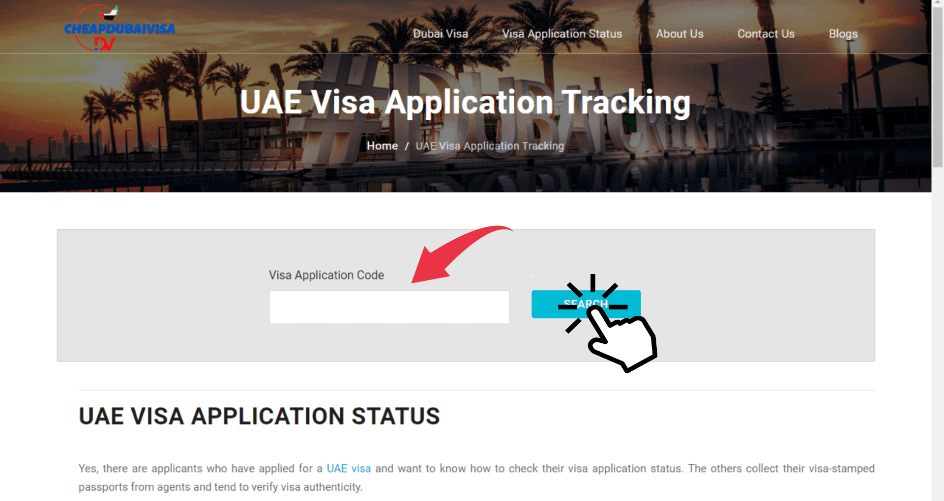 How to check Dubai visa status
